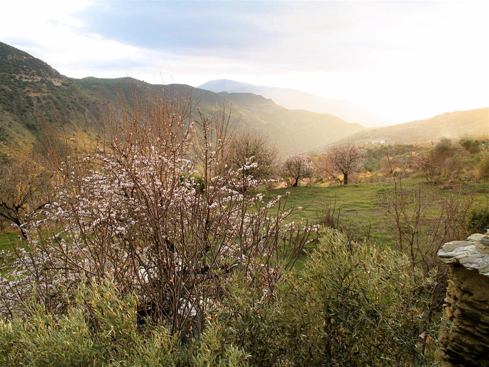 Rural House, Heated Pool & Steam Room, Casa Aloe. Atalbeitar 외부 사진