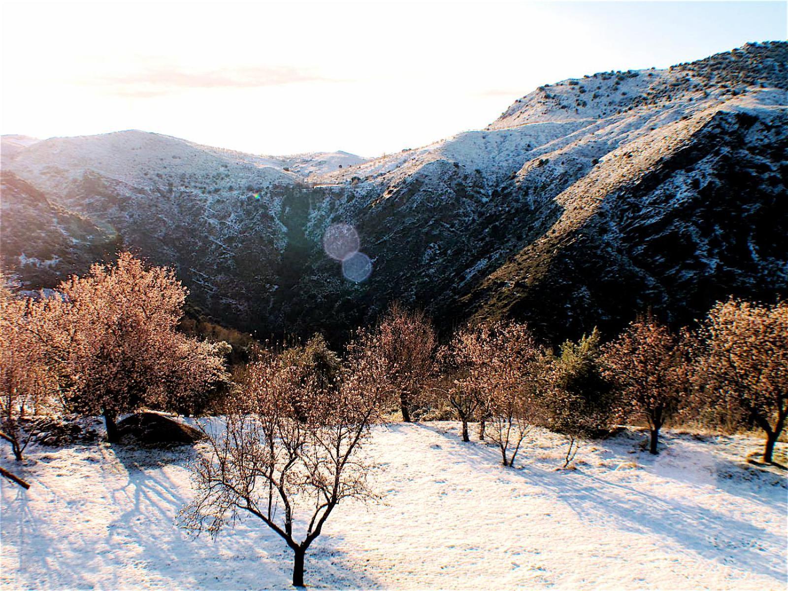 Rural House, Heated Pool & Steam Room, Casa Aloe. Atalbeitar 외부 사진