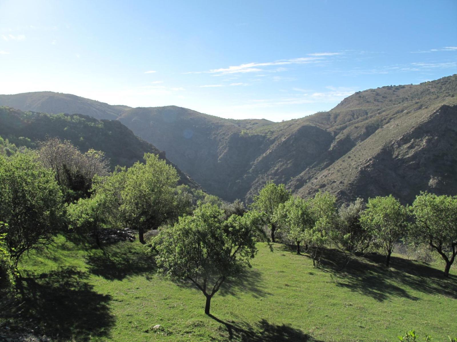 Rural House, Heated Pool & Steam Room, Casa Aloe. Atalbeitar 외부 사진