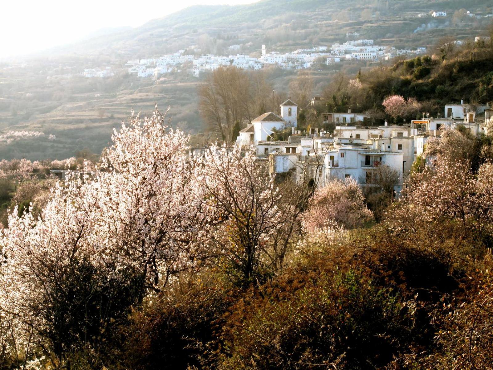 Rural House, Heated Pool & Steam Room, Casa Aloe. Atalbeitar 외부 사진