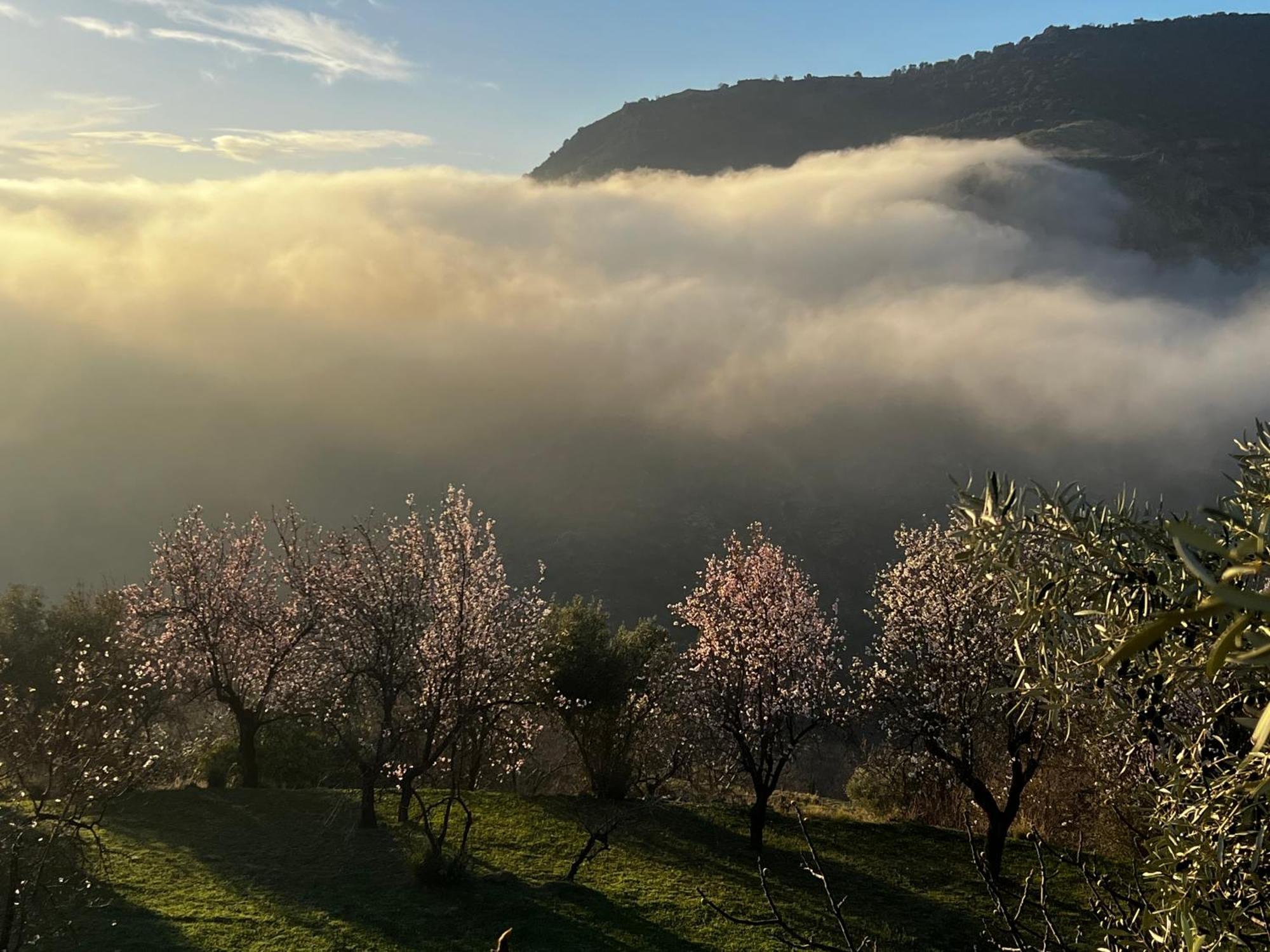 Rural House, Heated Pool & Steam Room, Casa Aloe. Atalbeitar 외부 사진