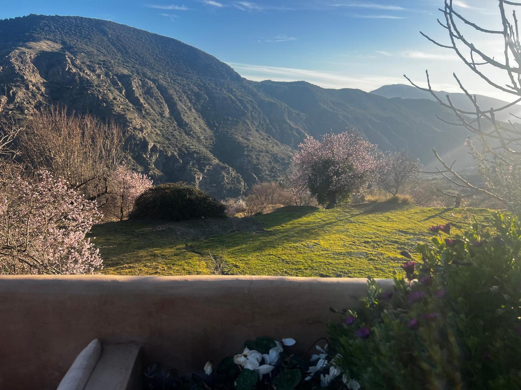 Rural House, Heated Pool & Steam Room, Casa Aloe. Atalbeitar 외부 사진